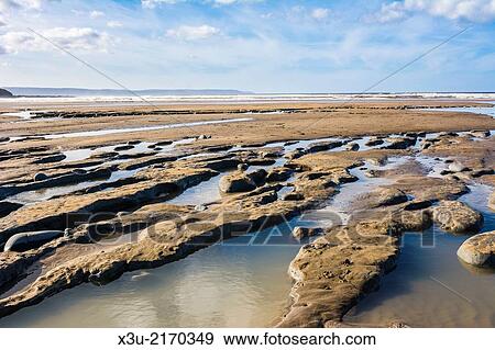 Clay and peat beds containing an ancient forest exposed on the beach at Westward Ho! shortly after the winter storms of 2014. North Devon, England. View Large Photo Image Stock Photo - Clay and peat beds containing an ancient forest exposed on the beach at Westward Ho! shortly after the winter storms of 2014. North Devon, England.. Fotosearch