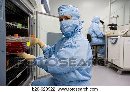 Stock Image - Clean room, culture conservation in incubators, biopharmaceutical lab, development and production of innovative drugs using adult stem cells, Cellerix, Grupo Genetrix, Madrid. Fotosearch