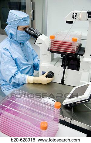 Clean room, culture observation through the microscope, biopharmaceutical lab, development and production of innovative drugs using adult stem cells, Cellerix, Grupo Genetrix, Madrid View Large Photo Image Stock Photo - Clean room, culture observation through the microscope, biopharmaceutical lab, development and production of innovative drugs using adult stem cells, Cellerix, Grupo Genetrix, Madrid. Fotosearch