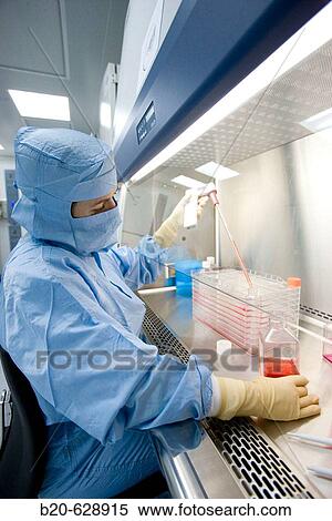 Clean room, preparing cultures in laminar flow cabinet, Medio DMEM (Dulbeco's Modified Eagle's Medium), biopharmaceutical lab, development and production of innovative drugs using adult stem cells, Cellerix, Grupo Genetrix, Madrid View Large Photo Image Stock Photography - Clean room, preparing cultures in laminar flow cabinet, Medio DMEM (Dulbeco's Modified Eagle's Medium), biopharmaceutical lab, development and production of innovative drugs using adult stem cells, Cellerix, Grupo Genetrix, Madrid. Fotosearch