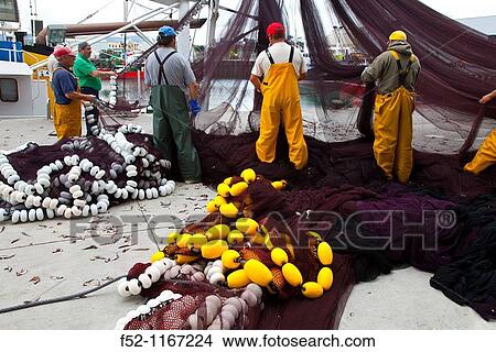 Cleaning fishing nets, Santoa Port, Cantabrian Sea, Cantabria, Spain View Large Photo Image Picture - Cleaning fishing nets, Santoa Port, Cantabrian Sea, Cantabria, Spain. Fotosearch