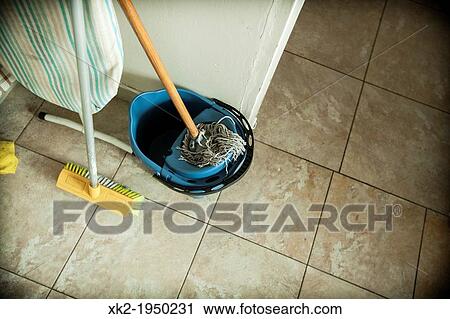 Cleaning kit (mop and broom) View Large Photo Image Stock Image - Cleaning kit (mop and broom). Fotosearch