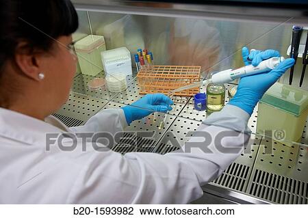 Cleanroom Microbiology Routine activities in laminar flow cabinet for microbiological analysis, Biotechnology Laboratory, Health Area, Alava Technology Park, Technology Centre, Tecnalia Research & Innovation, Miano, Araba, Basque Country, Spain View Large Photo Image Stock Image - Cleanroom Microbiology Routine activities in laminar flow cabinet for microbiological analysis, Biotechnology Laboratory, Health Area, Alava Technology Park, Technology Centre, Tecnalia Research & Innovation, Miano, Araba, Basque Country, Spain. Fotosearch