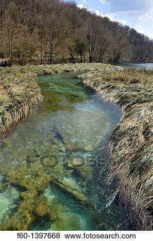 Stock Photo - Clear spring water flows through grass beds, Plitvice Jezera Lakes National Park, Natural World Heritage Site, Croatia.. Fotosearch