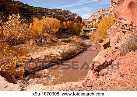 cliffs and Fremont River at Capitol Reef National Park in Utah, United States of America, USA View Large Photo Image Stock Photo - cliffs and Fremont River at Capitol Reef National Park in Utah, United States of America, USA. Fotosearch