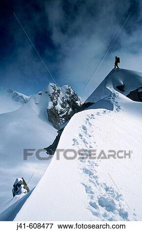 Climber at Fox Glacier. Westland National Park. Southern Alps. New Zealand View Large Photo Image Stock Photo - Climber at Fox Glacier. Westland National Park. Southern Alps. New Zealand. Fotosearch
