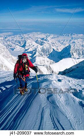 Climber on Summit ridge. Denali National Park. Alaska. USA View Large Photo Image Stock Photo - Climber on Summit ridge. Denali National Park. Alaska. USA. Fotosearch