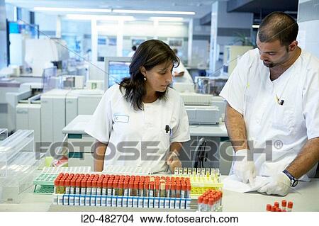 Clinical tests, laboratory. Hospital Universitario Gran Canaria Doctor Negrin, Las Palmas de Gran Canaria. Canary Islands, Spain View Large Photo Image Picture - Clinical tests, laboratory. Hospital Universitario Gran Canaria Doctor Negrin, Las Palmas de Gran Canaria. Canary Islands, Spain. Fotosearch