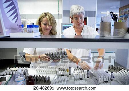 Clinical tests, laboratory. Hospital Universitario Gran Canaria Doctor Negrin, Las Palmas de Gran Canaria. Canary Islands, Spain View Large Photo Image Stock Photography - Clinical tests, laboratory. Hospital Universitario Gran Canaria Doctor Negrin, Las Palmas de Gran Canaria. Canary Islands, Spain. Fotosearch
