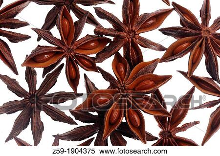 clip image - fruits of star anise - Illicium verum View Large Photo Image Stock Photography - clip image - fruits of star anise - Illicium verum. Fotosearch
