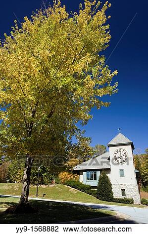 Clock Tower in Straus Park - Brevard, North Carolina USA View Large Photo Image Stock Image - Clock Tower in Straus Park - Brevard, North Carolina USA. Fotosearch
