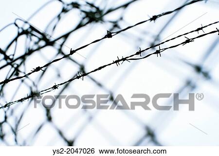 Stock Photograph - Close up and low angle view of barbed wire fence.. Fotosearch