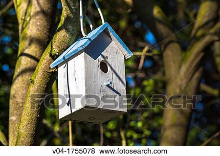 Close up of a birdhouse View Large Photo Image Stock Photo - Close up of a birdhouse. Fotosearch