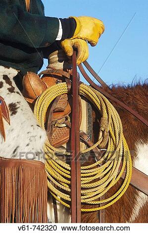 Close up of a cowboy holding the reins of his horse, Shell, Wyoming View Large Photo Image Stock Image - Close up of a cowboy holding the reins of his horse, Shell, Wyoming. Fotosearch