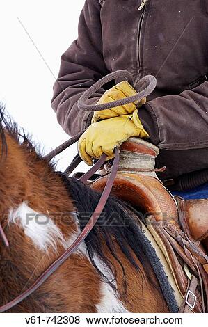 Close up of a cowboy holding the reins of his horse, Shell, Wyoming View Large Photo Image Stock Photo - Close up of a cowboy holding the reins of his horse, Shell, Wyoming. Fotosearch