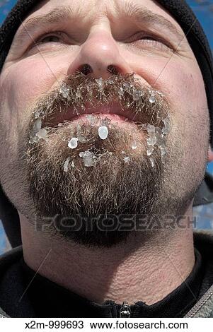 Close-up of a hiker's beard covered with ice on the side of a hiking trail in the White Mountain National Forest, New Hampshire USA Note: Weather temp near zero View Large Photo Image Stock Image - Close-up of a hiker's beard covered with ice on the side of a hiking trail in the White Mountain National Forest, New Hampshire USA Note: Weather temp near zero. Fotosearch