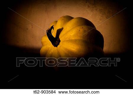 Close-up of a pumpkin Still Life Color, Yellow View Large Photo Image Picture - Close-up of a pumpkin Still Life Color, Yellow. Fotosearch