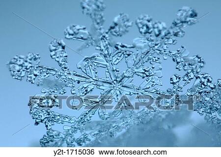 Close up of a single snowflake View Large Photo Image Stock Photograph - Close up of a single snowflake. Fotosearch