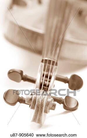 Close-up of a Violin View Large Photo Image Stock Image - Close-up of a Violin. Fotosearch
