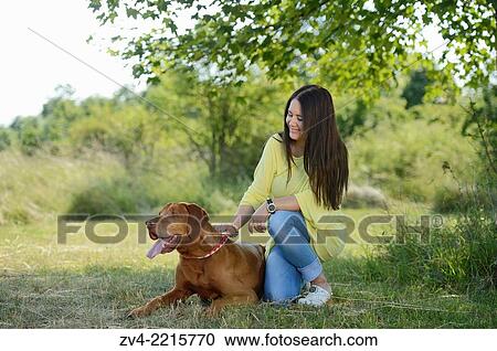 Close-up of a Woman with a Hungarian or Magyar Vizsla (Vizsla) on a meadow in spring. View Large Photo Image Stock Image - Close-up of a Woman with a Hungarian or Magyar Vizsla (Vizsla) on a meadow in spring.. Fotosearch