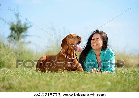 Close-up of a Woman with a Hungarian or Magyar Vizsla (Vizsla) on a meadow in spring. View Large Photo Image Stock Image - Close-up of a Woman with a Hungarian or Magyar Vizsla (Vizsla) on a meadow in spring.. Fotosearch