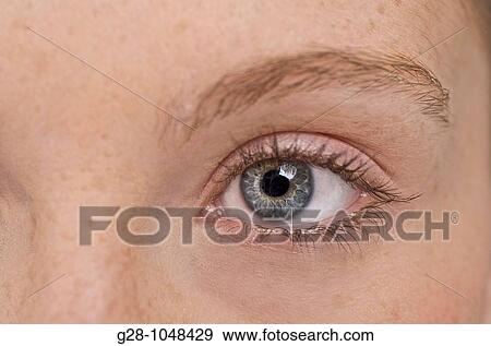 Stock Photo - close up of a woman's blue eye. Fotosearch