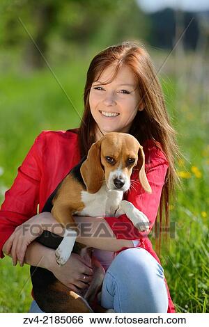 Close-up of a young woman with her Beagle dog in spring. View Large Photo Image Stock Photograph - Close-up of a young woman with her Beagle dog in spring.. Fotosearch