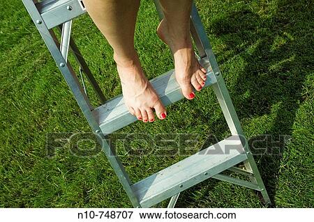 Close-up of a young woman's feet standing on a ladder. View Large Photo Image Stock Photo - Close-up of a young woman's feet standing on a ladder.. Fotosearch