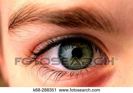 close up of an eye View Large Photo Image Stock Image - close up of an eye. Fotosearch