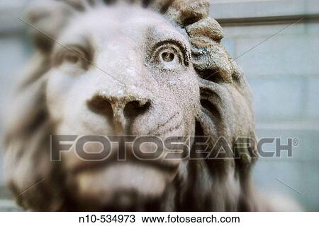 Stock Image - Close-up of an office building's stone lion's face. Fotosearch