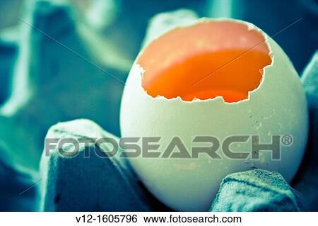 Close up of Broken Egg in carton View Large Photo Image Stock Photograph - Close up of Broken Egg in carton. Fotosearch