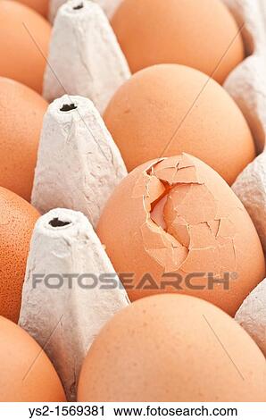 Close up of brown eggs, one broken View Large Photo Image Stock Image - Close up of brown eggs, one broken. Fotosearch