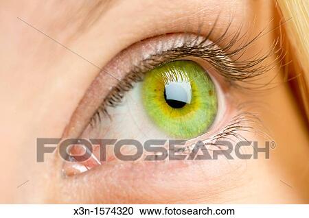 Stock Image - Close up of female green eye. Fotosearch