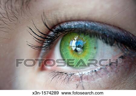 Stock Photo - Close up of female green eye. Fotosearch