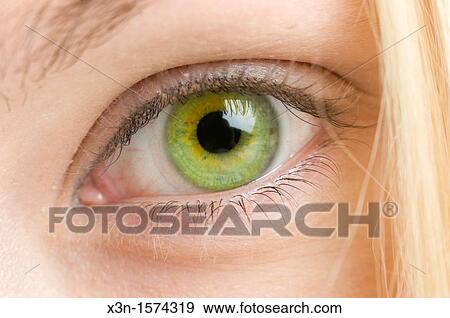 Stock Photo - Close up of female green eye. Fotosearch