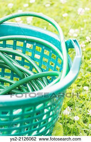 Stock Image - Close up of garden hose on green grass.. Fotosearch