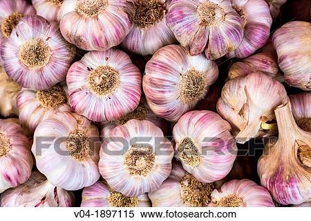 Stock Photography - Close up of garlic bulbs at a market stall. Fotosearch
