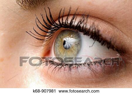close-up of girl's eye View Large Photo Image Stock Image - close-up of girl's eye. Fotosearch