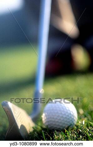 Close-up of Golfer addressing golf ball with golf club about to hit View Large Photo Image Stock Photo - Close-up of Golfer addressing golf ball with golf club about to hit. Fotosearch