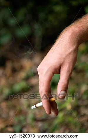 Close-up of hand with cigarette - Cedar Mountain, North Carolina, USA View Large Photo Image Stock Image - Close-up of hand with cigarette - Cedar Mountain, North Carolina, USA. Fotosearch