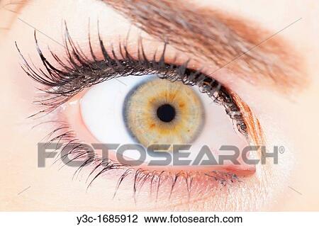 Close up of human female eye with fake eyelashes View Large Photo Image Stock Image - Close up of human female eye with fake eyelashes. Fotosearch