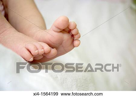 Close up of newborn feet, white background with copy space View Large Photo Image Stock Photo - Close up of newborn feet, white background with copy space. Fotosearch