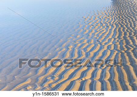 Close-up of ripples in sand, Germany, Schleswig Holstein, Sylt, North Frisian Islands, Hoernum, North Sea View Large Photo Image Stock Image - Close-up of ripples in sand, Germany, Schleswig Holstein, Sylt, North Frisian Islands, Hoernum, North Sea. Fotosearch