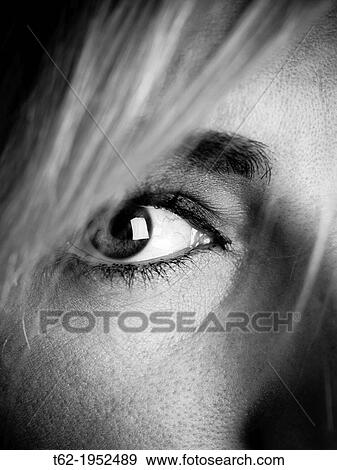Close up of the eye of a young attractive caucasian woman, black and white. View Large Photo Image Stock Photo - Close up of the eye of a young attractive caucasian woman, black and white.. Fotosearch