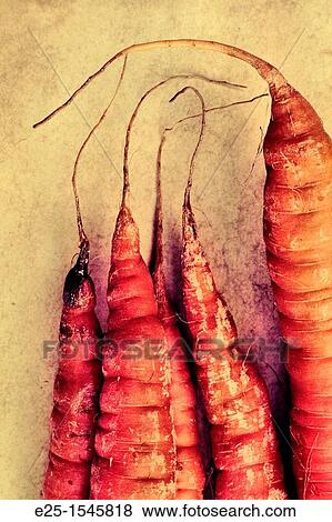 Close up of the tips of Carrots organically grown on a slightly textured background View Large Photo Image Stock Photo - Close up of the tips of Carrots organically grown on a slightly textured background. Fotosearch