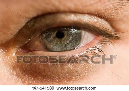 Close-up of woman's eye View Large Photo Image Stock Photo - Close-up of woman's eye. Fotosearch