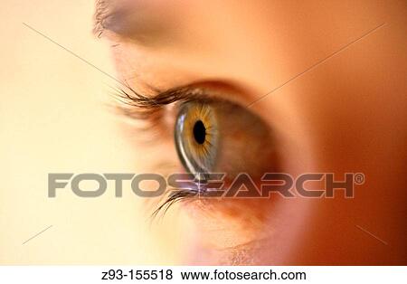 Close-up of woman's eye View Large Photo Image Stock Photo - Close-up of woman's eye. Fotosearch