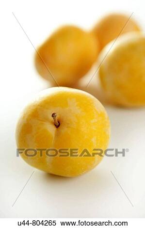 Close up of yellow Mirabelles on white background View Large Photo Image Stock Photography - Close up of yellow Mirabelles on white background. Fotosearch