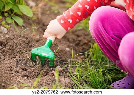 Close up of young child in garden helping with plants and flowers, digging in the soil. View Large Photo Image Stock Image - Close up of young child in garden helping with plants and flowers, digging in the soil.. Fotosearch