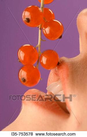 Close Up View Large Photo Image Stock Photo - Close Up. Fotosearch